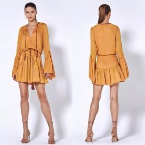 Alexis Nella Dress in Amber